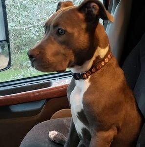 Meet your Posher, Vande